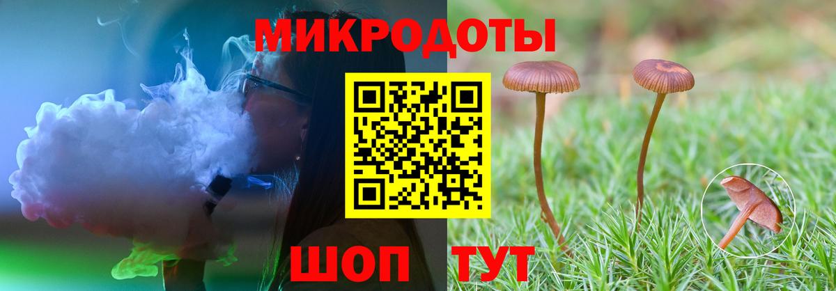 Артём  Галлюциногенные грибы ЛСД  Псилоцибиновые грибы мухоморы  Вход с VPN 